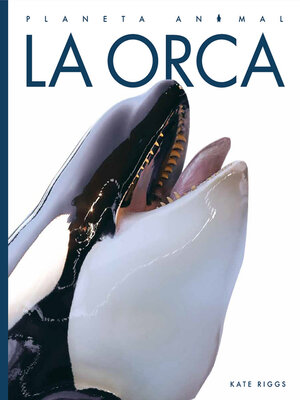 cover image of La orca